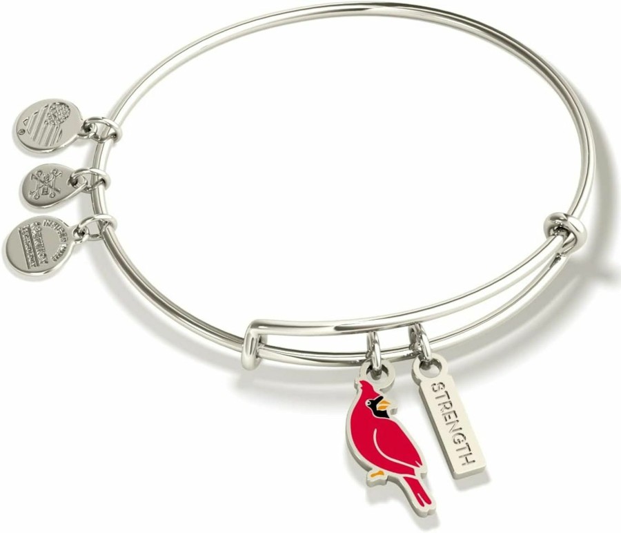 Alex and Ani Alex And Ani Symbols And Tokens Expandable Bangle For Women, Cardinal Charm, Shiny Silver Finish, 2 To 3.5 In Wholesale